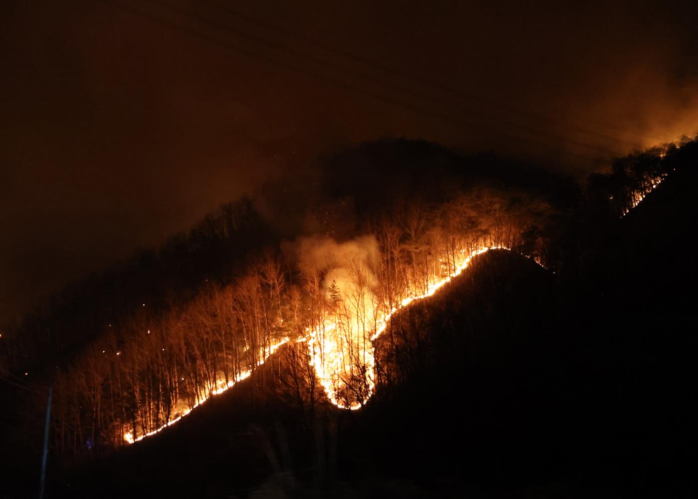 1-7 사진(영양군, 산불진화에 총력전).jpg